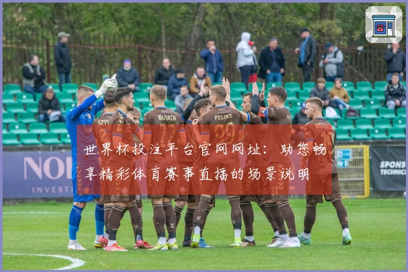 世界杯投注平台官网网址：助您畅享精彩体育赛事直播的场景说明
