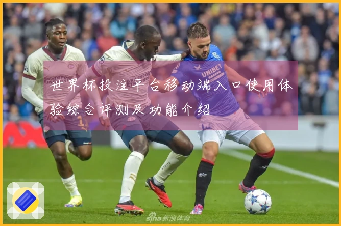 世界杯投注平台移动端入口使用体验综合评测及功能介绍
