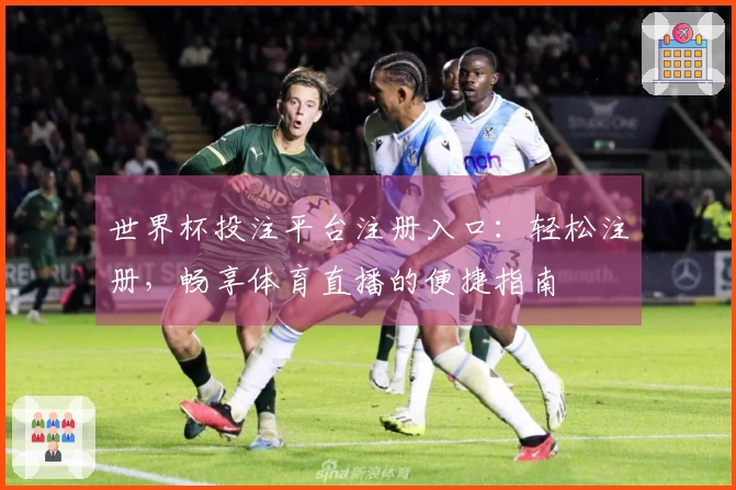 世界杯投注平台注册入口：轻松注册，畅享体育直播的便捷指南