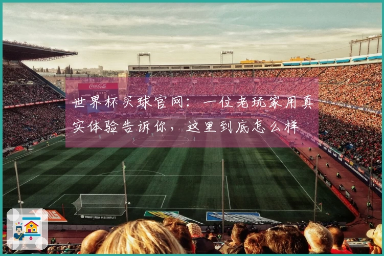 世界杯买球官网：一位老玩家用真实体验告诉你，这里到底怎么样