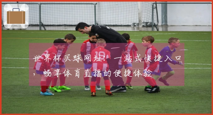 世界杯买球网址：一站式快捷入口，畅享体育直播的便捷体验