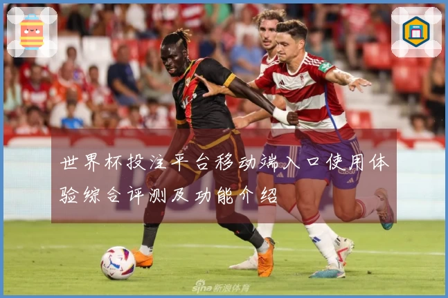 世界杯投注平台移动端入口使用体验综合评测及功能介绍