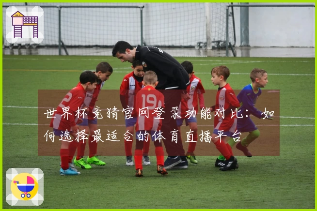 世界杯竞猜官网登录功能对比：如何选择最适合的体育直播平台