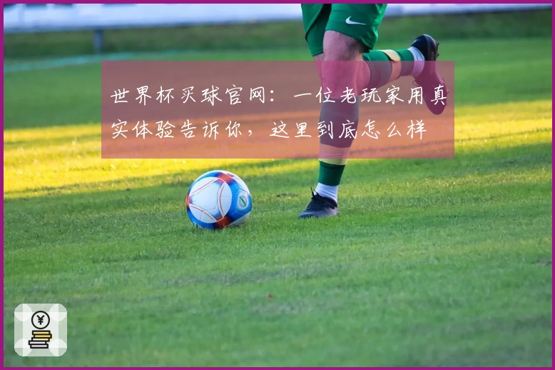 世界杯买球官网:一位老玩家用真实体验告诉你,这里到底怎么样