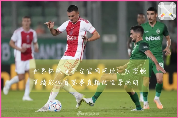 世界杯投注平台官网网址：助您畅享精彩体育赛事直播的场景说明